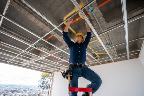 Best Residential Plumbing Services  in Bronson, MI