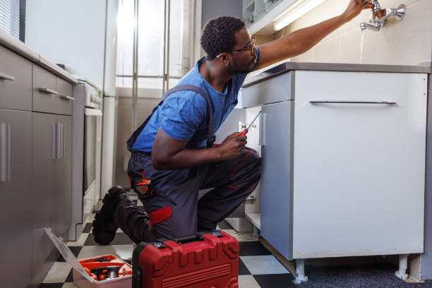 Best Affordable Plumbing Services  in Bronson, MI